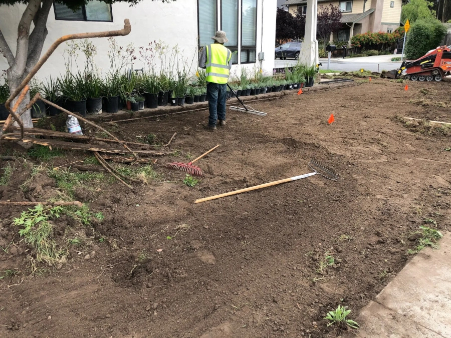 Landscape Maintenance in Santa Cruz, CA