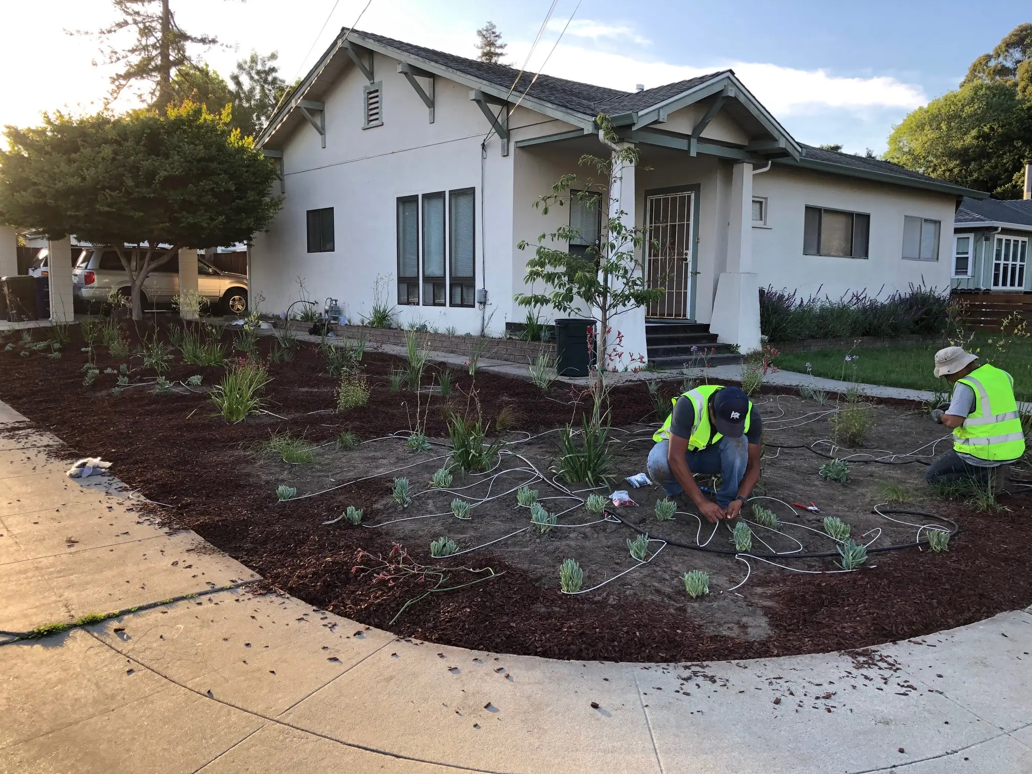 Landscape Maintenance in Santa Cruz, CA