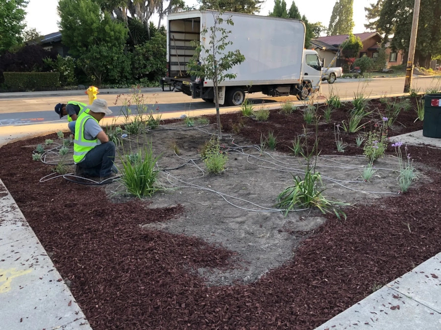 Landscape Maintenance in Santa Cruz, CA