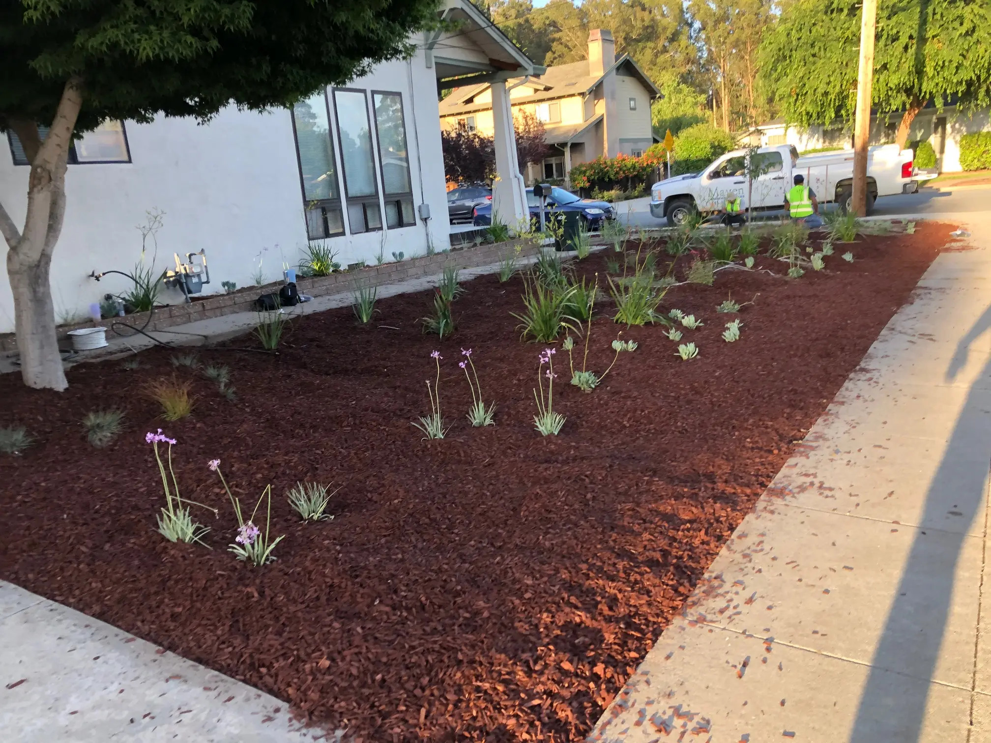 Landscape Maintenance in Santa Cruz, CA