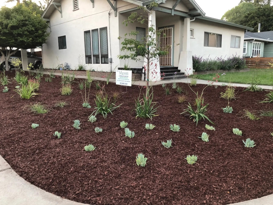 Landscape Maintenance in Santa Cruz, CA