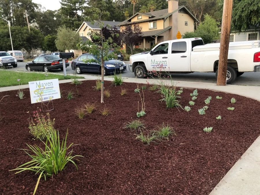 Landscape Maintenance in Santa Cruz, CA