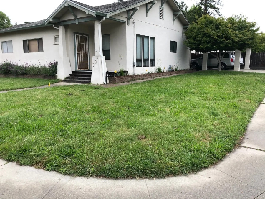 Landscape Maintenance in Santa Cruz, CA