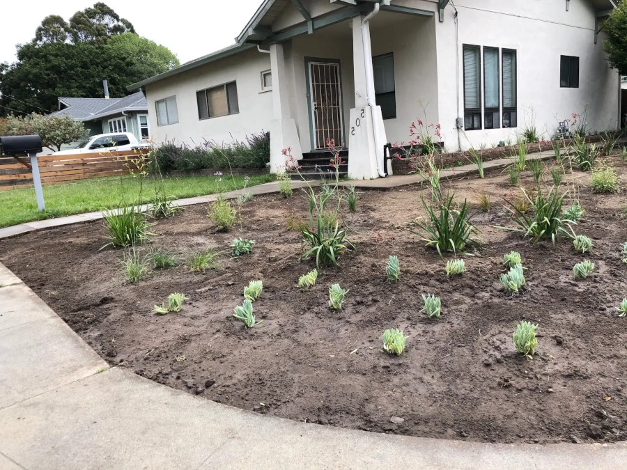 Landscape Maintenance in Santa Cruz, CA