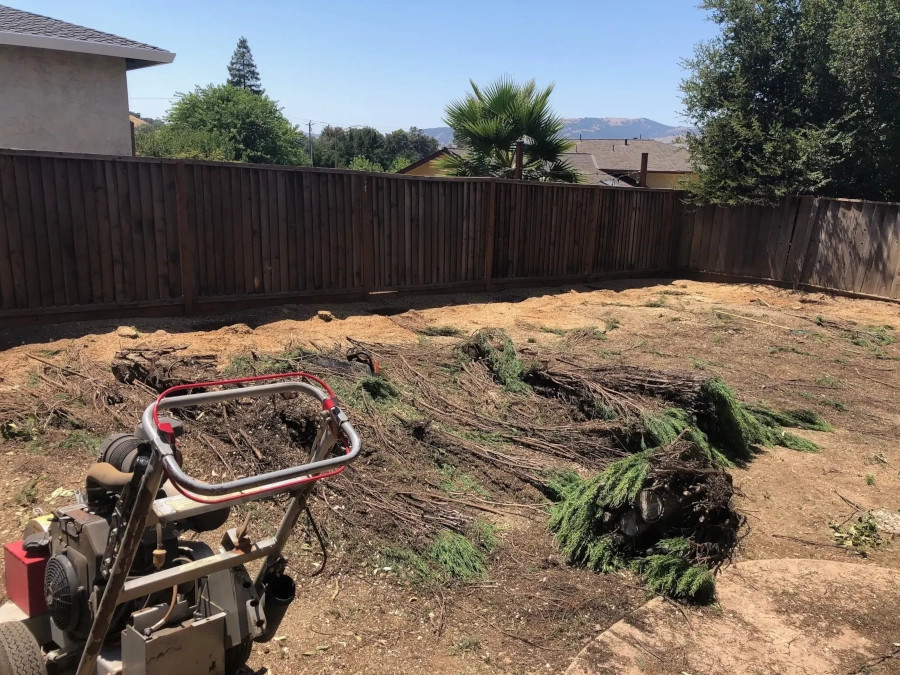 Tree and Bush Removal in Morgan Hill, CA