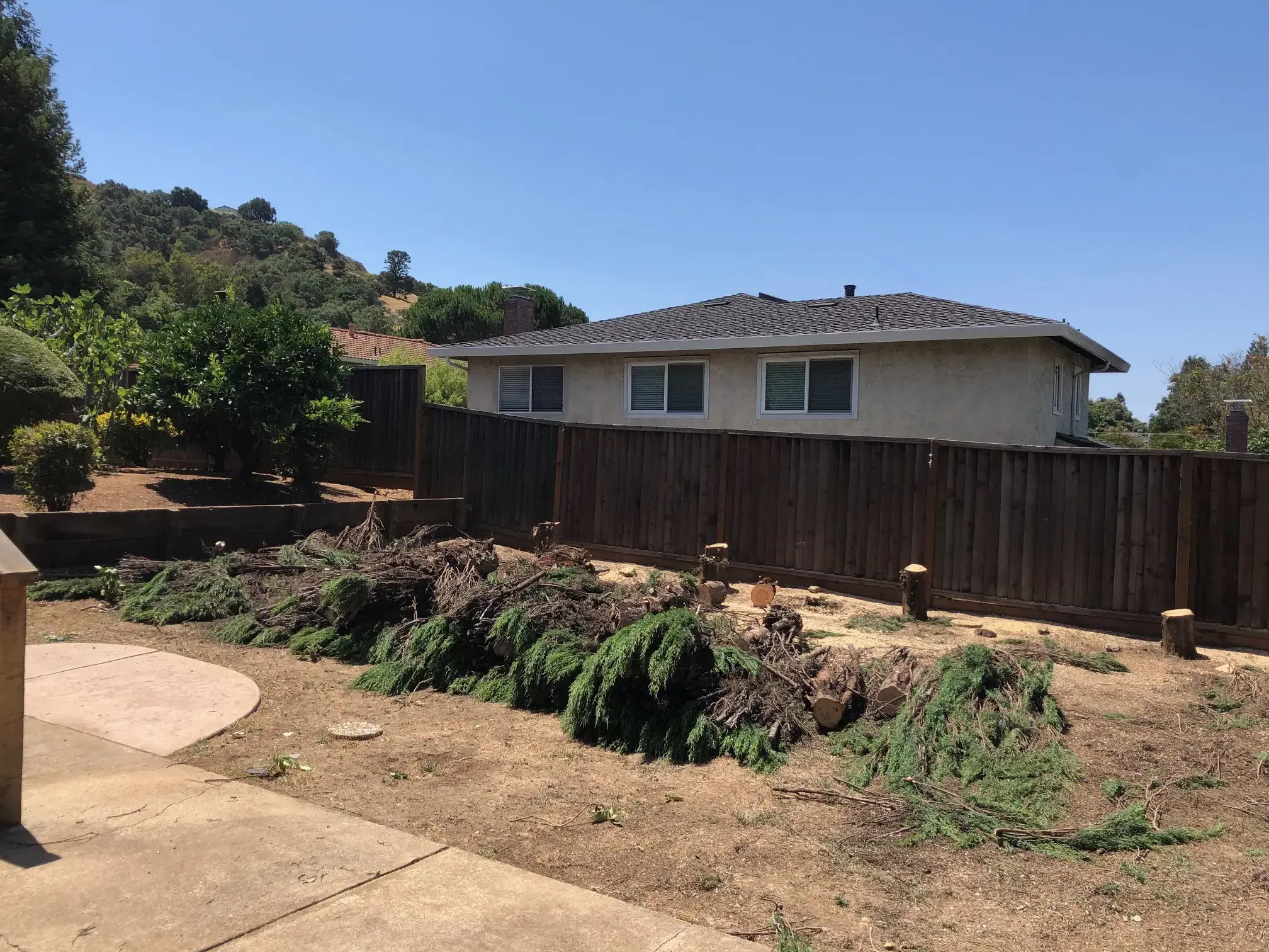 Tree and Bush Removal in Morgan Hill, CA