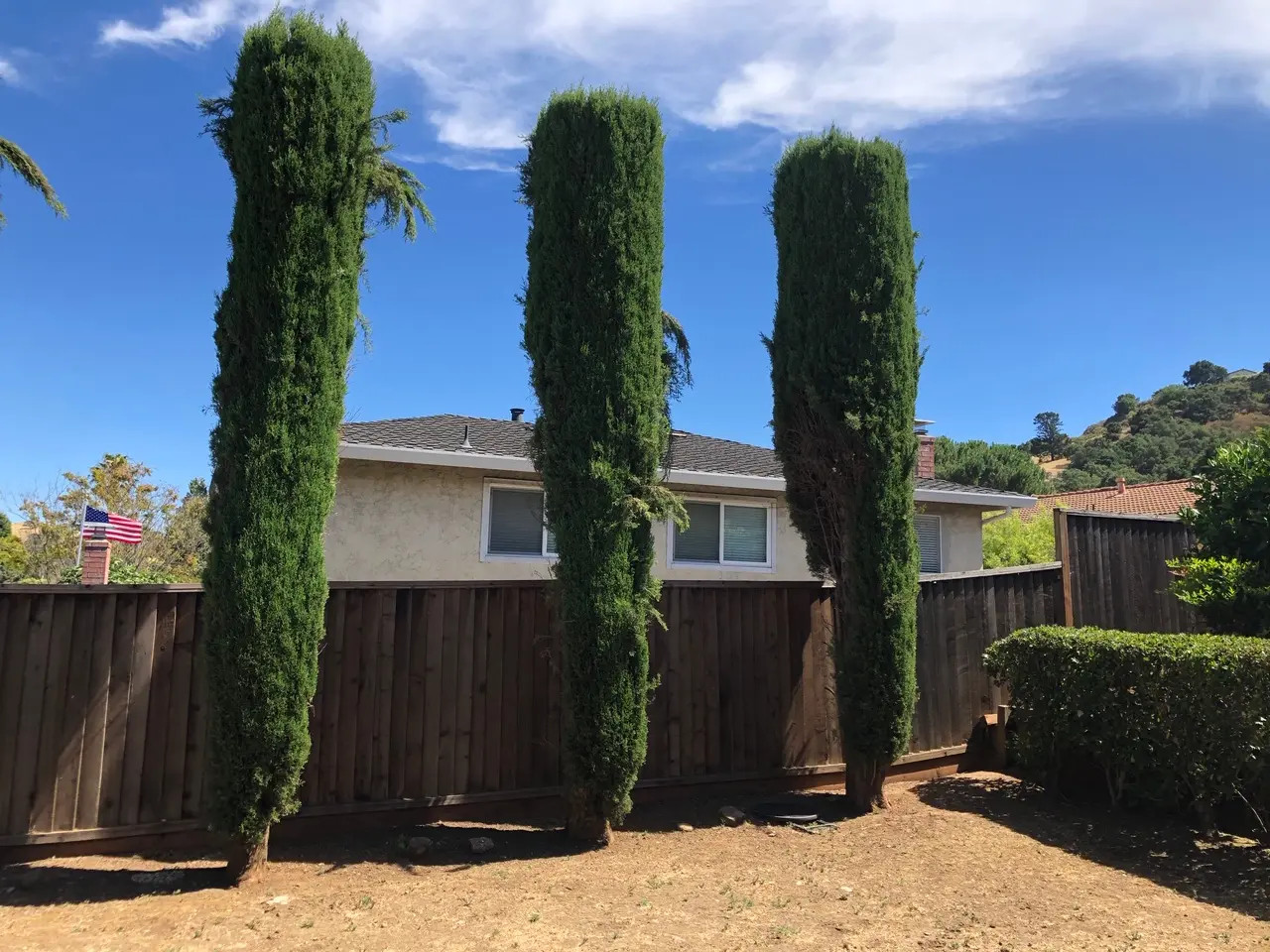 Tree and Bush Removal in Morgan Hill, CA