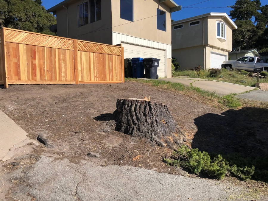 Tree Stump Removal in Pacific Grove, CA