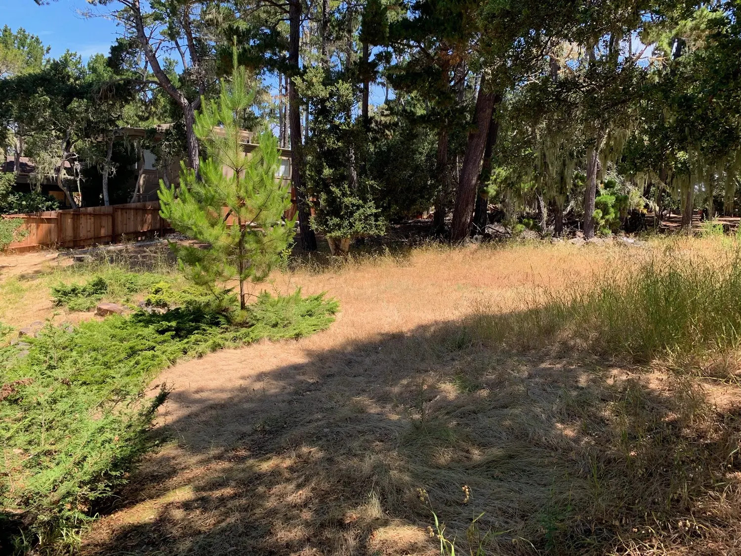 Weed Abatements in Pebble Beach, CA